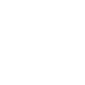 Lírio-Armação