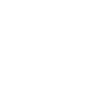 Missão